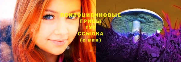 ECSTASY Армянск